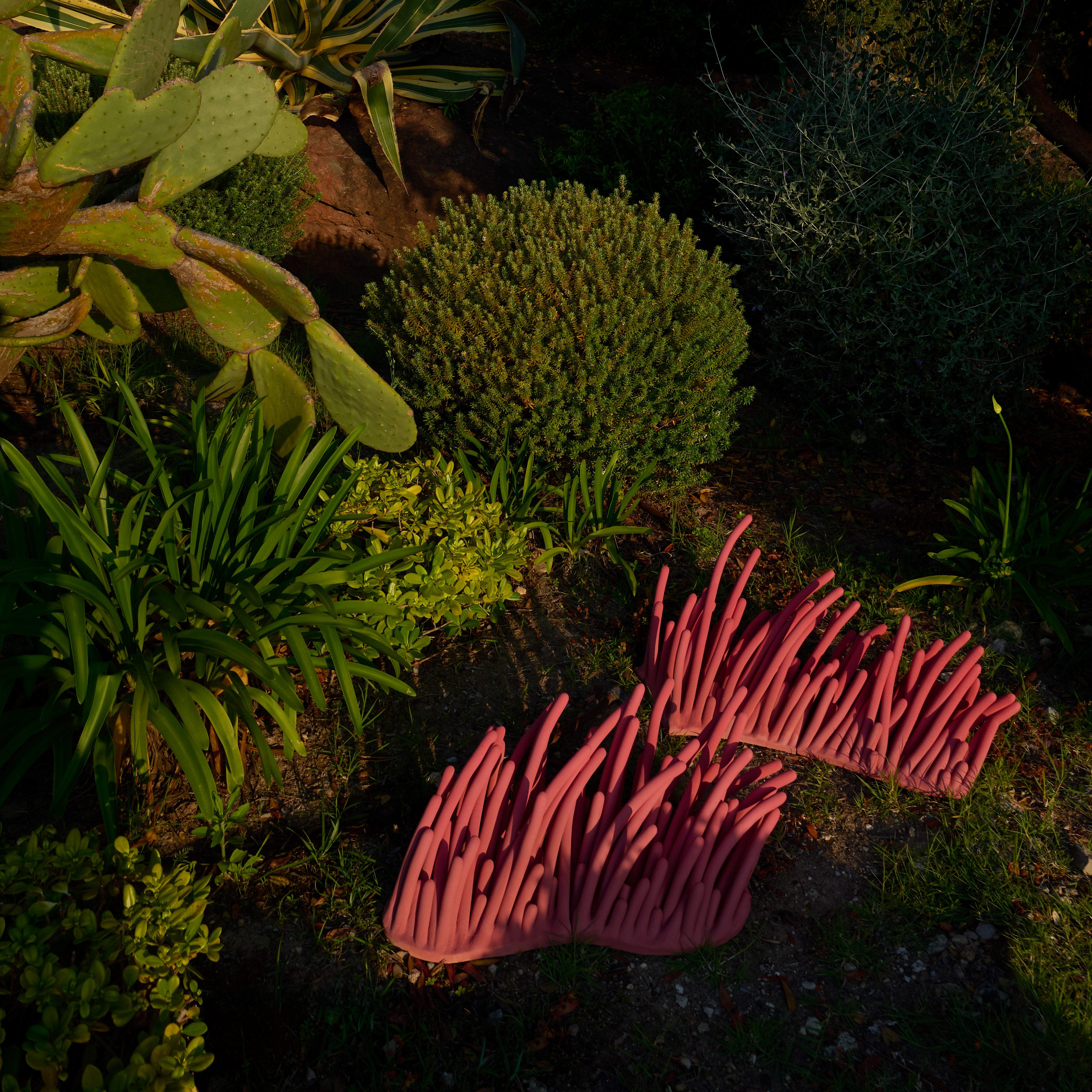 Safia Hijos at Genius Loci exhibition at Maison Bernard, FR