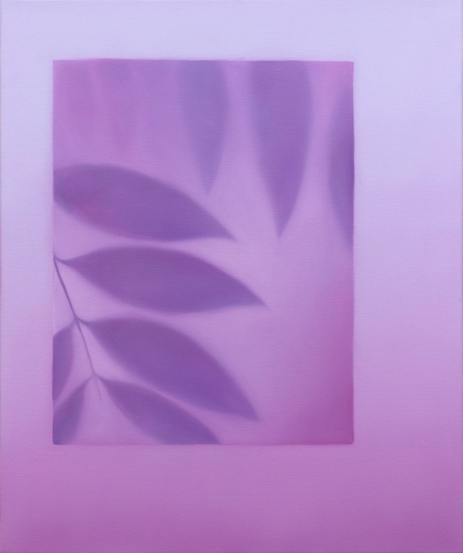 Capturer les nuages, 2024, huile sur toile, 60 x 50 cm